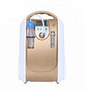 1-5L Compact and Portable Oxygen Concentrator with Battery and Carrier