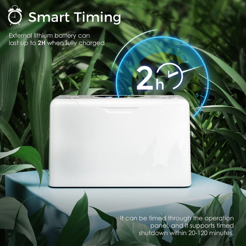 3L/min Continous Flow Light and Portable Smart Oxygen Concentrator with Free Carry Bag
